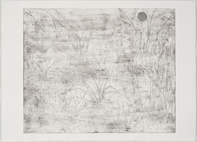 Artwork: Lilac Garden (rehearsal) by Silke Otto-Knapp